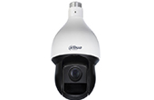 Camera DAHUA | Camera Speed Dome HDCVI hồng ngoại 2.0 Megapixel DAHUA DH-SD59225-HC-LA