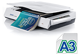 Máy Scanner AVISION | Máy quét sách khổ A3 AVISION FB6280E