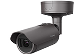 Camera IP Hanwha Vision | Camera IP hồng ngoại 6.0 Megapixel Hanwha Vision XNO-8082R