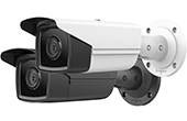 Camera IP HDPARAGON | Camera IP hồng ngoại 2.0 Megapixel HDPARAGON HDS-2223G2-I9