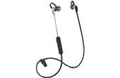 Tai nghe Poly | Tai nghe thể thao Bluetooth nhét tai Plantronics BACKBEAT FIT 305 (209058-99)