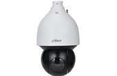 Camera IP DAHUA | Camera IP Speed Dome hồng ngoại 2.0 Megapixel DAHUA DH-SD5A245XA-HNR