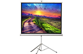 Màn chiếu APOLLO | Màn chiếu 3 chân 100-inch APOLLO TRS180R(EZ) 