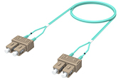 Cáp mạng COMMSCOPE | Fiber Optic Patch Cord COMMSCOPE (2055108-3)