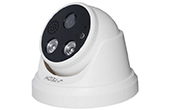 Camera IP J-TECH | Camera IP Dome Full Color 4.0 Megapixel J-TECH SHDP5278DL0