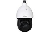 Camera IP DAHUA | Camera IP Speed Dome hồng ngoại 2.0 Megapixel DAHUA DH-SD49225XA-HNR-S3