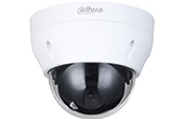 Camera IP DAHUA | Camera IP Dome hồng ngoại 2.0 Megapixel DAHUA DH-IPC-HDPW1230R1-S5