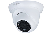 Camera IP DAHUA | Camera IP Dome hồng ngoại 2.0 Megapixel DAHUA DH-IPC-HDW1230S-S5