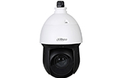 Camera IP DAHUA | Camera IP Speed Dome hồng ngoại 2.0 Megapixel DAHUA DH-SD49225XA-HNR-S2