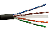 Cáp-phụ kiện LS | Cáp mạng 4 đôi LS CAT6 U/UTP copper (UTP-G-C6G-P1EN-N 0.5X004P/BK)