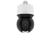 Camera IP Hanwha Vision | Camera IP Speed Dome hồng ngoại 2.0 Megapixel Hanwha Vision QNP-6250R