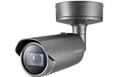 Camera IP Hanwha Vision | Camera IP hồng ngoại 8.0 Megapixel Hanwha Techwin WISENET PNO-A9081RLP