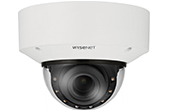 Camera IP Hanwha Vision | Camera IP Dome hồng ngoại 6.0 Megapixel Hanwha Techwin WISENET XNV-C8083R