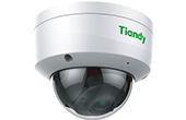 Camera IP TIANDY | Camera IP Dome hồng ngoại 3.0 Megapixel TIANDY TC-C33KN (I3/E/Y/2.8mm/V2.0)