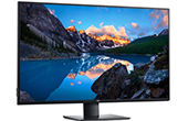 Màn hình vi tính DELL | Màn hình vi tính LCD UltraSharp 42.51-inch DELL U4320Q