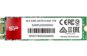 á»” cá»©ng Silicon Power | Ổ cứng Silicon Power M.2 2280 SATA SSD A55 128GB 