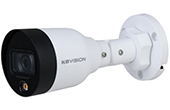 Camera IP KBVISION | Camera IP Full color 2.0 Megapixel KBVISION KX-AF2111N3