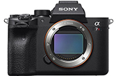 Máy ảnh SONY | Máy ảnh SONY ALPHA ILCE-7RM4