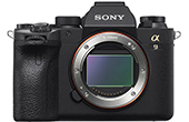 Máy ảnh SONY | Máy ảnh SONY ALPHA ILCE-9M2