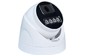 Camera IP J-TECH | Camera IP Dome hồng ngoại 5.0 Megapixel J-TECH UHD5284E