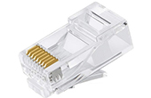 Cáp-phụ kiện HUVIRON | Hạt mạng CAT6 UTP RJ45 HUVIRON H-RJ45/6/50