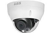 Camera IP DAHUA | Camera IP Dome hồng ngoại 2.0 Megapixel DAHUA DS2230RDIP-S3