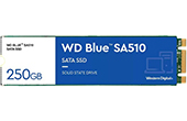 Ổ cứng SSD Western | Ổ cứng SSD 250GB Western Blue WDS250G3B0B