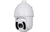 Camera IP DAHUA | Camera IP Speed Dome hồng ngoại 2.0 Megapixel DAHUA DH-SD6CE225DB-HNY