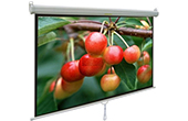 Màn chiếu APOLLO | Màn chiếu treo tường 80-inch APOLLO MNS160