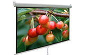 Màn chiếu APOLLO | Màn chiếu treo tường 120-inch APOLLO MNS220