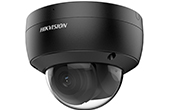 Camera IP HIKVISION | Camera IP Dome hồng ngoại 6.0 Megapixel HIKVISION DS-2CD2166G2-ISU(C) (Black)