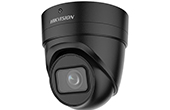 Camera IP HIKVISION | Camera IP Dome hồng ngoại 4.0 Megapixel HIKVISION DS-2CD2H46G2-IZS(C) (Black)