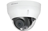 Camera IP KBVISION | Camera IP Dome hồng ngoại 2.0 Megapixel KBVISION KX-A2012N3-R