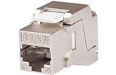 Cáp mạng BELDEN | 10GX Modular Jack CAT.6A BELDEN AX104562