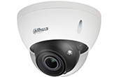 Camera IP DAHUA | Camera IP Dome hồng ngoại 8.0 Megapixel DAHUA DH-IPC-HDBW5842E-ZE