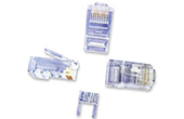 Cáp mạng ROSENBERGER | CAT.5e Unshielded Plug RJ45 ROSENBERGER CP13-111-01