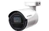 Camera AVTECH | Camera HD-TVI hồng ngoại 2.0 Megapixel AVTECH DGM2103SVN/F36