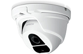 Camera AVTECH | Camera HD-TVI Dome hồng ngoại 2.0 Megapixel AVTECH DGM2203SVN/F36