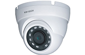 Camera IP KBVISION | Camera IP Dome hồng ngoại 2.0 Megapixel KBVISION KX-A2012TN3-VN