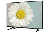 Tivi SUMMY | Smart Tivi cường lực 4K 55-inch SUMMY Pro55