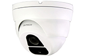 Camera AVTECH | Camera Dome 4-in-1 hồng ngoại 5.0 Megapixel AVTECH DGC5205TSSE