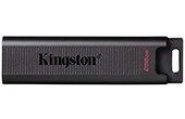 USB/Thẻ nhớ KINGSTON | USB 3.2 256GB KINGSTON DTMAX/256GB