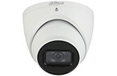 Camera IP DAHUA | Camera IP Dome hồng ngoại 2.0 Megapixel DAHUA DH-IPC-HDW5241TM-ASE