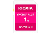 USB/Tháº» nhá»› KIOXIA | Thẻ nhớ 1TB Kioxia LNPL1M001TG4