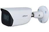 Camera IP DAHUA | Camera IP hồng ngoại 4.0 Megapixel DAHUA DH-IPC-HFW3441E-AS-S2