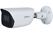 Camera IP DAHUA | Camera IP hồng ngoại 4.0 Megapixel DAHUA DH-IPC-HFW5442E-ASE