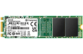 Ổ cứng Transcend | Ổ cứng SSD M.2 SATA 250GB Transcend TS250GMTS825S