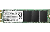 Ổ cứng Transcend | Ổ cứng SSD M.2 SATA 500GB Transcend TS500GMTS825S