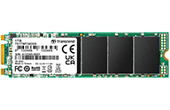 Ổ cứng Transcend | Ổ cứng SSD M.2 SATA 1TB Transcend TS1TMTS825S