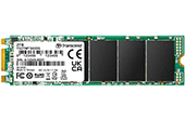 Ổ cứng Transcend | Ổ cứng SSD M.2 SATA 2TB Transcend TS2TMTS825S